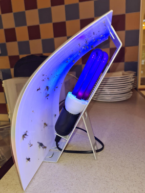 Bactinet Desinsectiseur Pro Vannes Bactinet Bacti Design Ploermel Anti Insectes 1