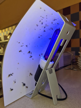 Bactinet Desinsectiseur Pro Vannes Bactinet Bacti Design Ploermel Anti Insectes 2