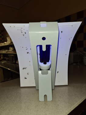 Bactinet Desinsectiseur Pro Vannes Bactinet Bacti Design Ploermel Anti Insectes 3