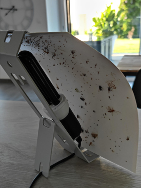 Bactinet Desinsectiseur Pro Vannes Bactinet Bacti Design Ploermel Anti Insectes 4