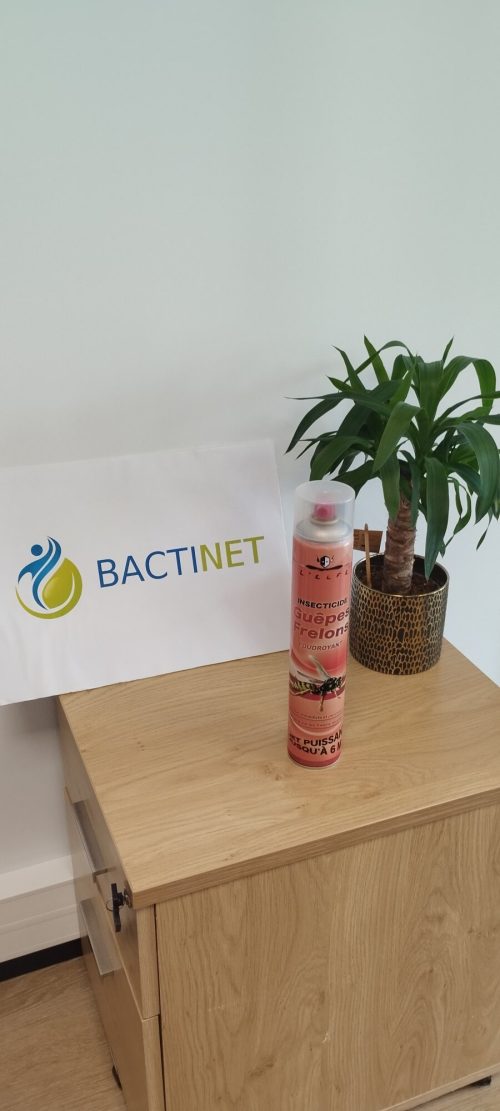 Bombe anti-guêpes et frelons 750ml